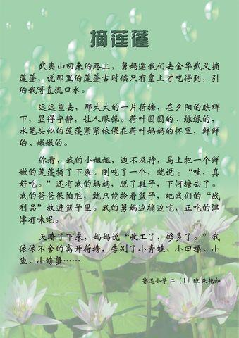 美丽的写作_2000字