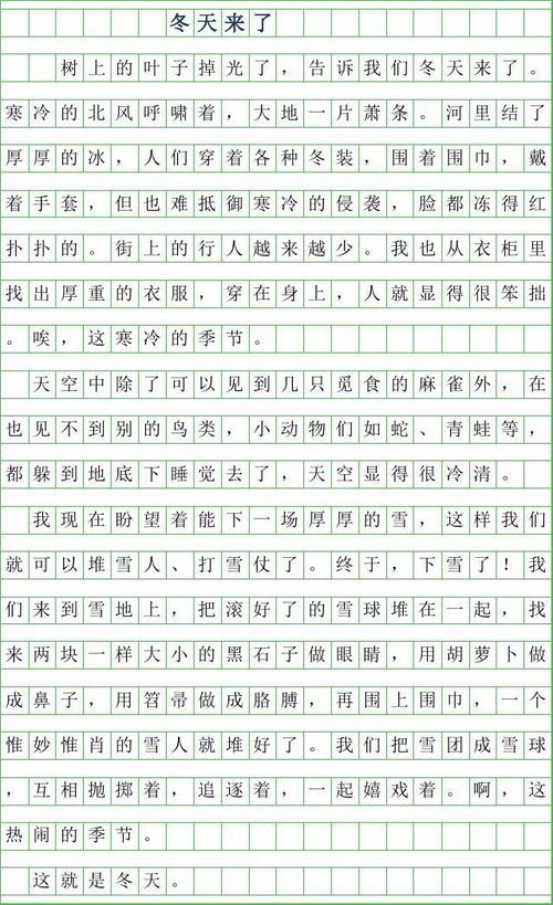 2019年第一年结束组成：走进奇西山_300字