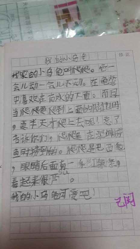 观察日记：乌龟_400字