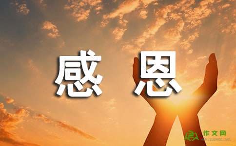 感激我的心只有明亮的_500字