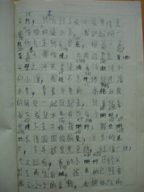 二级叙事组成：发电柠檬_500字