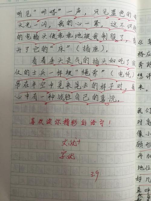 关于我母亲的作品：善良的母亲_450字