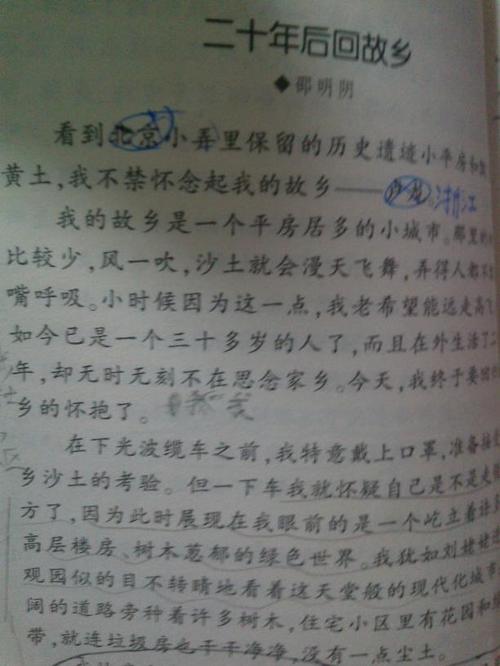 我20年后_300字