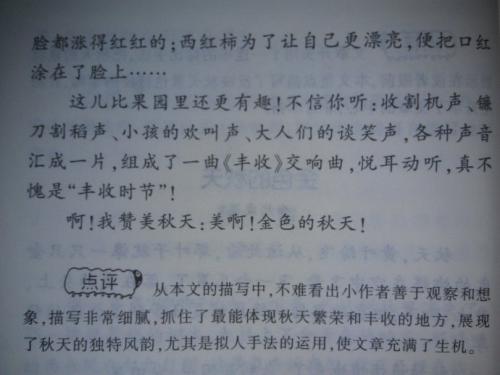 关于幸福的人为段落_750字