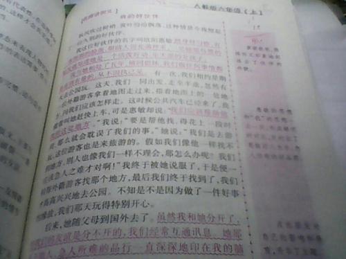 初中写道：另一个令人难忘的人_900字