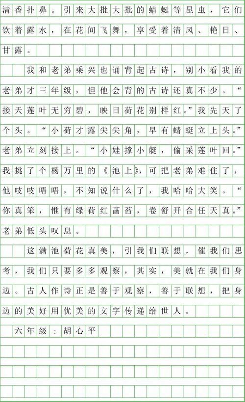 第一次写知：秋叶_600字