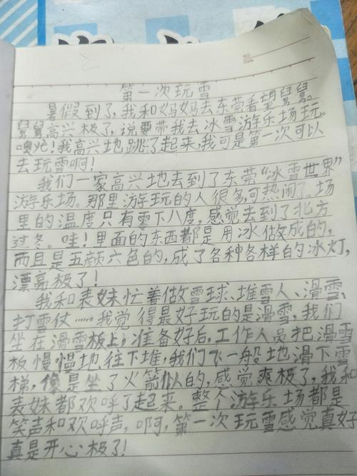 演奏雪的构图：玩雪_550字