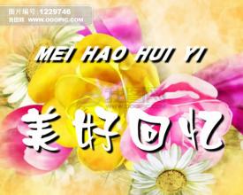 记忆的构成：甜蜜的回忆_900字