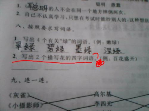 美丽段落：我母亲的段落_650字