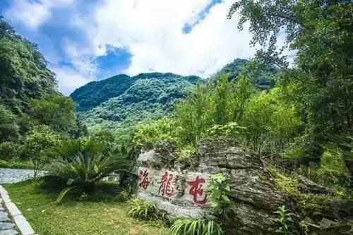 东旅游哈隆_900字