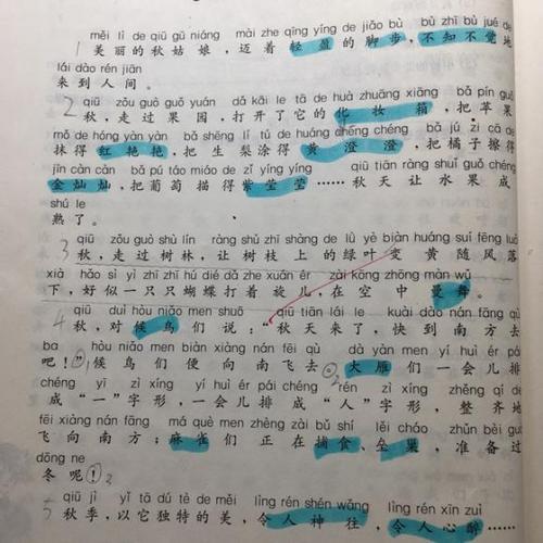 迷人的秋季_400字