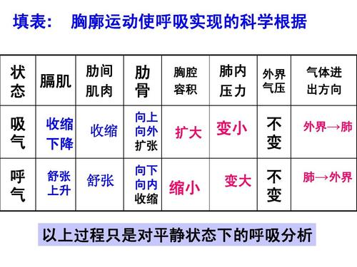 初级成分：自白色_1200字