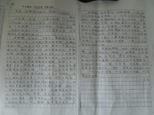 中秋节组成500字：清中秋_500字