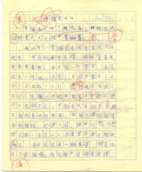 自己操作_800字