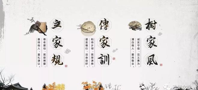 家庭教练法规_700字