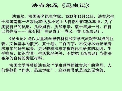 理想情况下是好句子：描述理想的好句子，_1000字