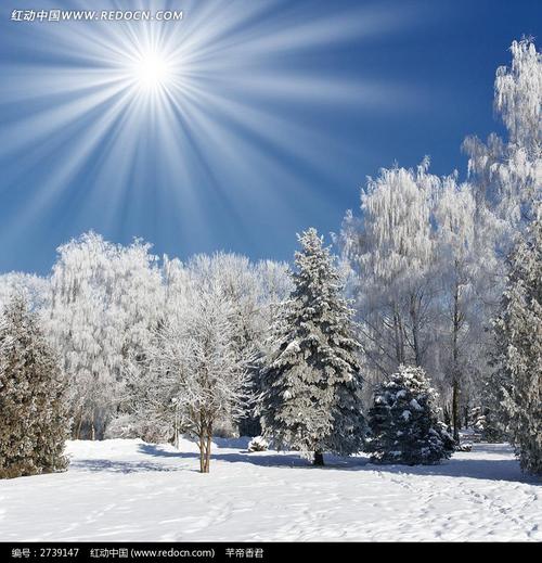 雪景上的构图：冬天雪景_550字