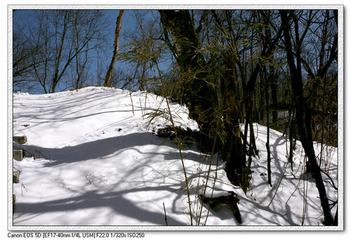在雪景上的构图：雪地场景_300字