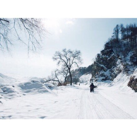 雪景上的构图：这是雪景_800字