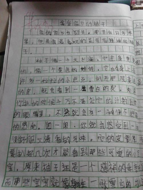 学习写作_400单词