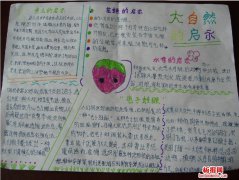 关于自然的启示_500字