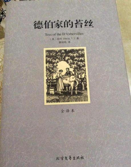 阅读（3）_1500字后，“替代书”阅读