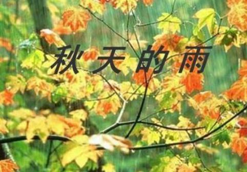 秋雨_1000字