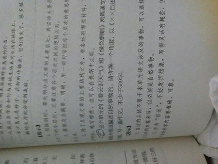 自我比例的香烟_500字