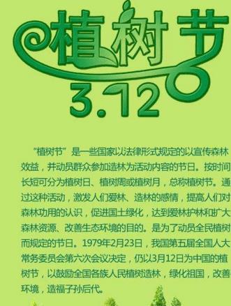 乔木日的组成：种植节论文（八）树种植_500字