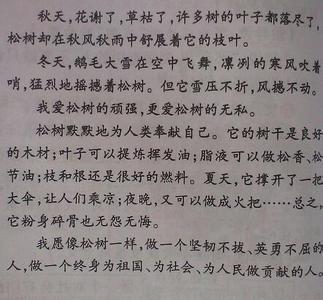 首先写文章：阳光干燥我的牛_700字