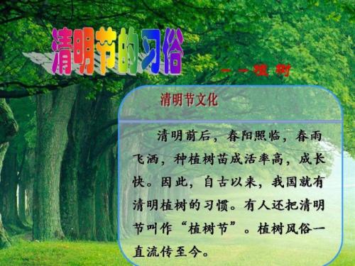 关于清明节_3000字的句子