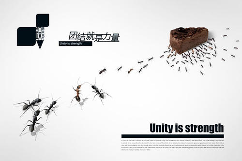 Unity Power _550字