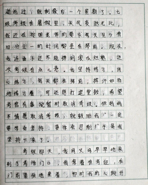 在滑冰上的组成_800字