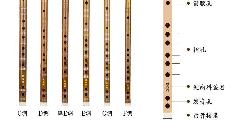 长笛_550字