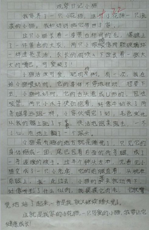 小猫观察日记_450字