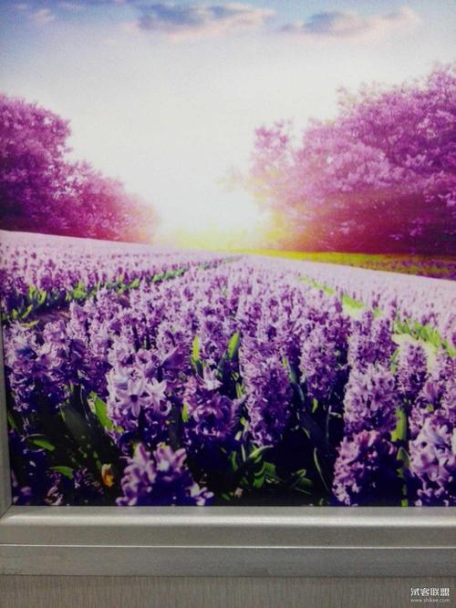 Lavender_1500字