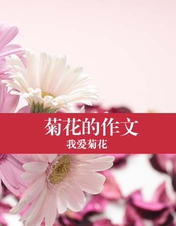 Chrysanthemum _450字