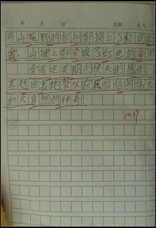 三年级写道：我的父亲是一个防疫和控制工作者_450字