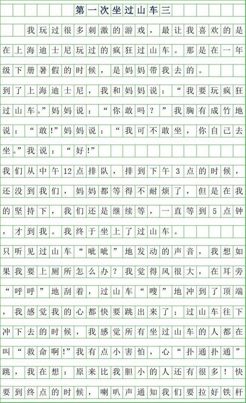 关于大年的作文：小鬼当家过大年_1500字