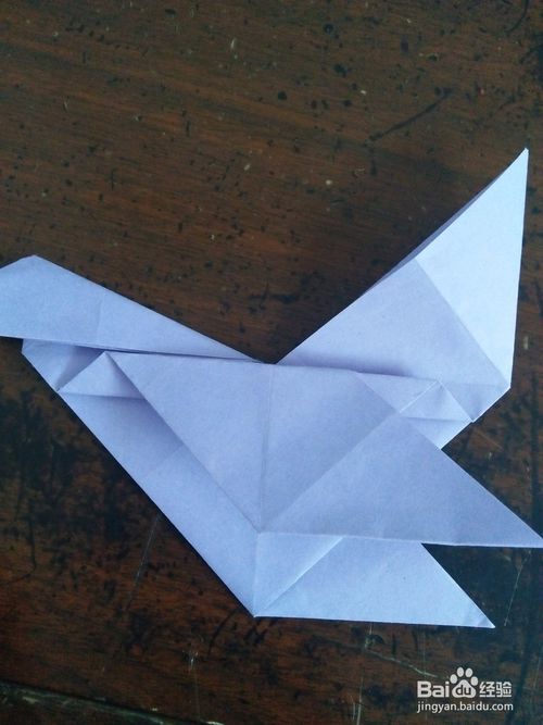 纸飞机复杂_500字