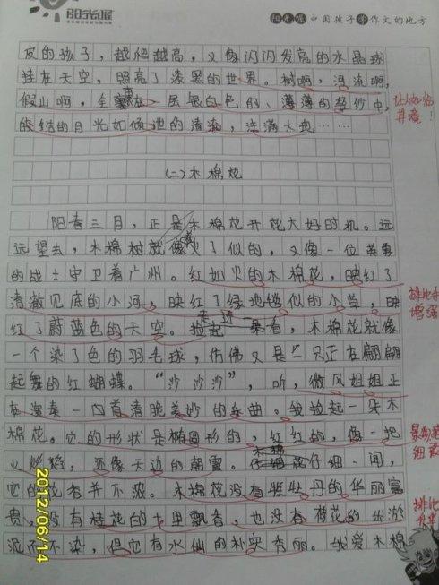 月亮上的构图：Mingyue百年_1000字