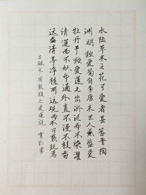 艾连说_800字