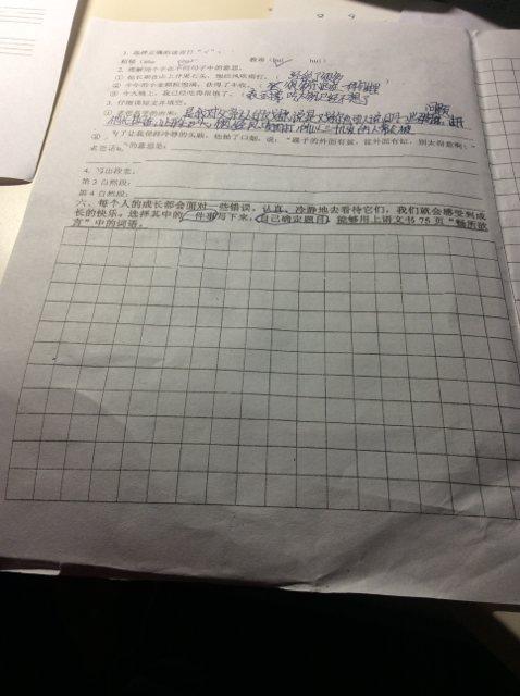 鹰捕捉小鸡_150字