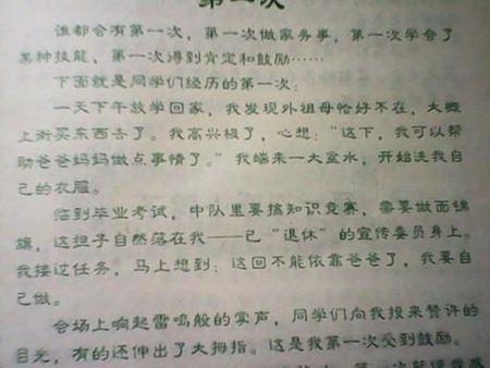 关于令人难忘的第一：第一个电击_800字