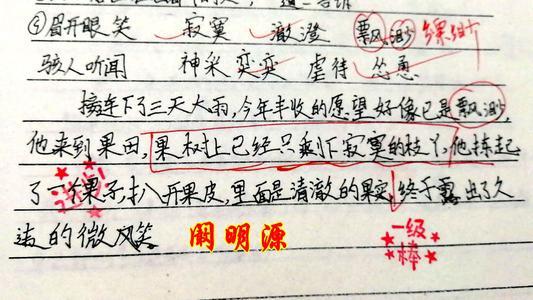 中学入学考试摘要：用书睡觉_700字