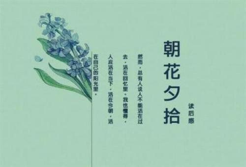 拿起花_700字