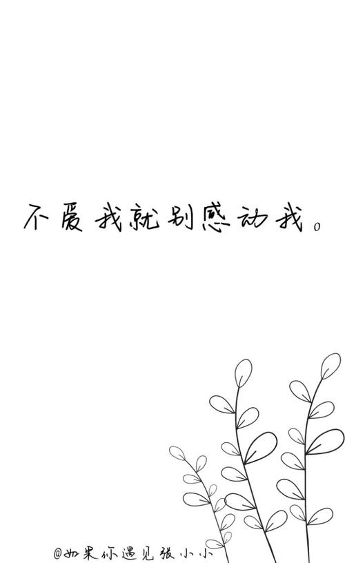 追求友谊_700字