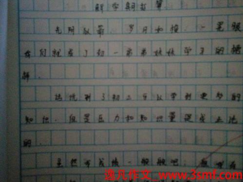 如果我可以制作小学生_750字