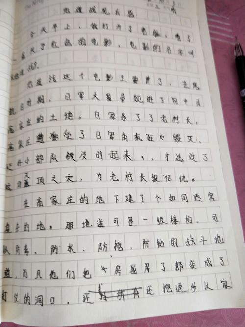 高三视柱：“天达”_900字