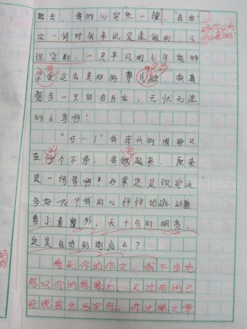 一年级的想象力：如果我是一个大男人_400字